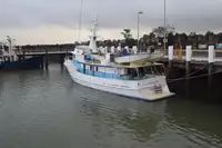 Kutter te koop