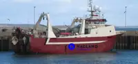 Large freezer trawler Te koop