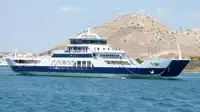 Veerboot Te koop