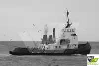Sleepboot Te koop