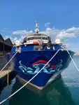 Veerboot Te koop