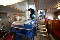 Veerboot te koop