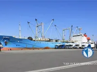 Koelschip Te koop