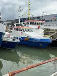 Patrouilleboot te koop