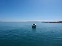 Catamaran te koop