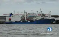 Koelschip te koop