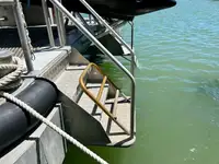 Catamaran te koop