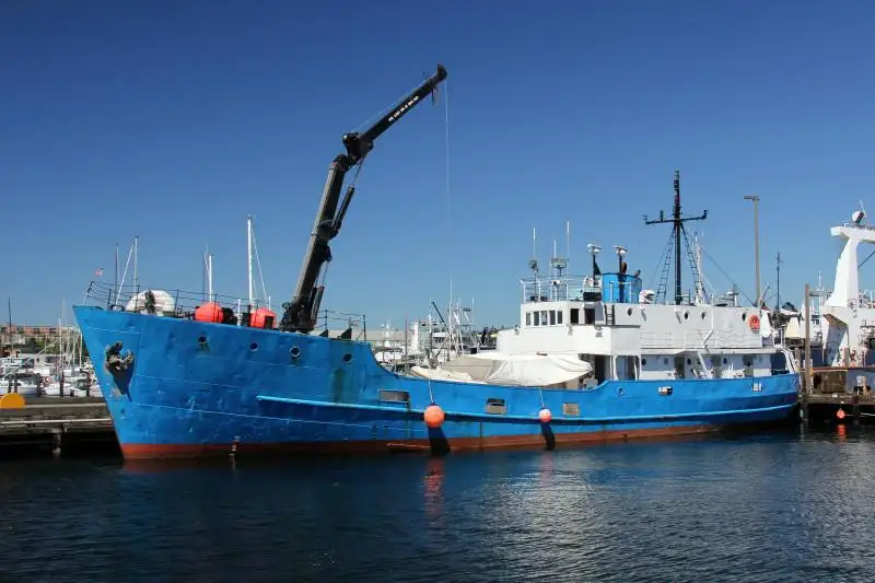 Bulkcarrier te koop