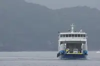 Ro-Ro-schip te koop