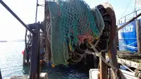 Trawler te koop