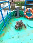 Werkboten te koop