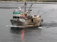 Longliner Te koop