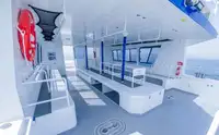 Catamaran te koop