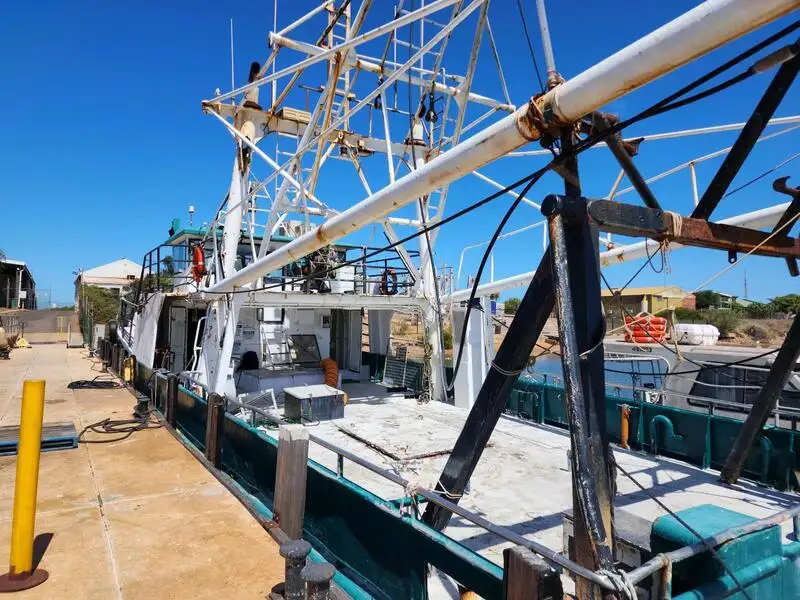 Trawler te koop