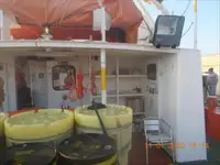 Bemanningboot te koop