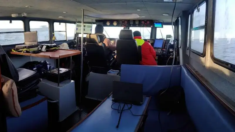 Containerschip te koop
