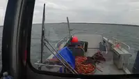 landingsvaartuig, tank te koop