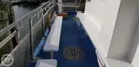 Catamaran te koop