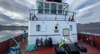 Sleepboot Te koop