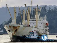 Koelschip te koop