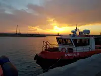 Werkboten Te koop