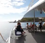 Catamaran Te koop