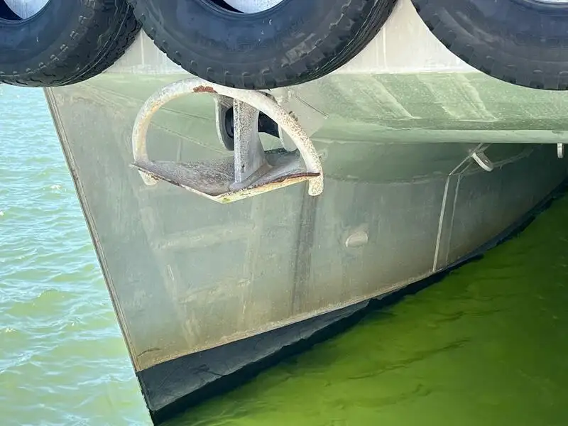 Catamaran te koop