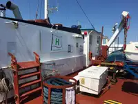 Bulkcarrier te koop