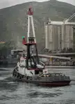Sleepboot Te koop