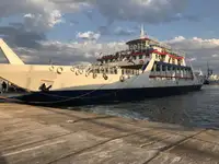 Ro-Ro ship Te koop