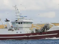 Trawler te koop