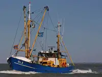 Trawler te koop