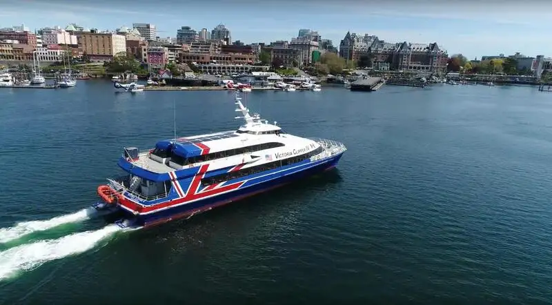 Catamaran te koop