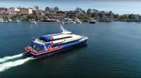 Catamaran te koop