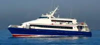 Catamaran Te koop