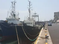 Trawler te koop