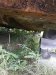Barge te koop