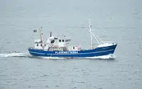 Trawler te koop
