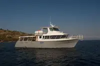 Veerboot Te koop