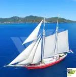 Cruise schip Te koop