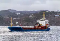 Bulkcarrier te koop