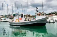 Trawler te koop