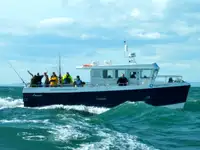 Catamaran Te koop