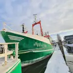 Patrouilleboot te koop