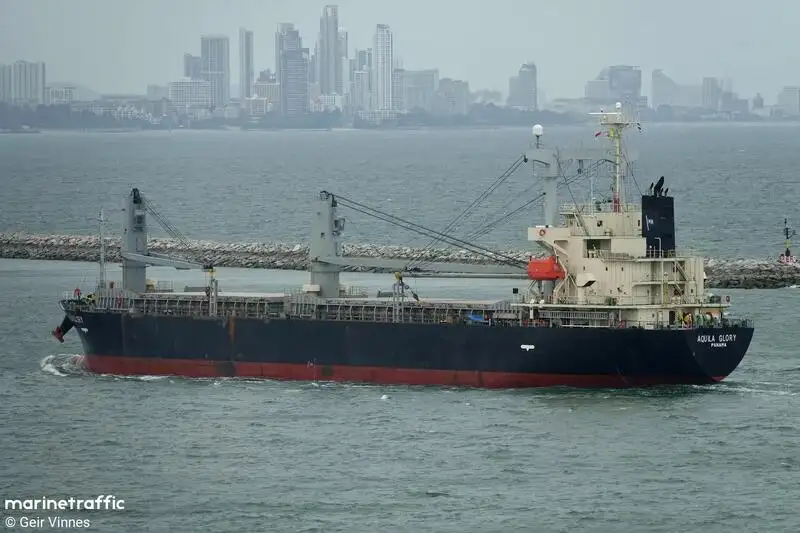 Bulkcarrier te koop