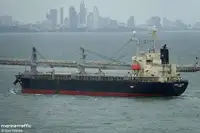 Bulkcarrier te koop
