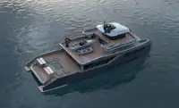 Catamaran Te koop