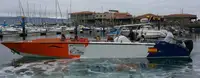 Veerboot te koop
