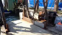 Trawler te koop