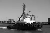 Sleepboot Te koop